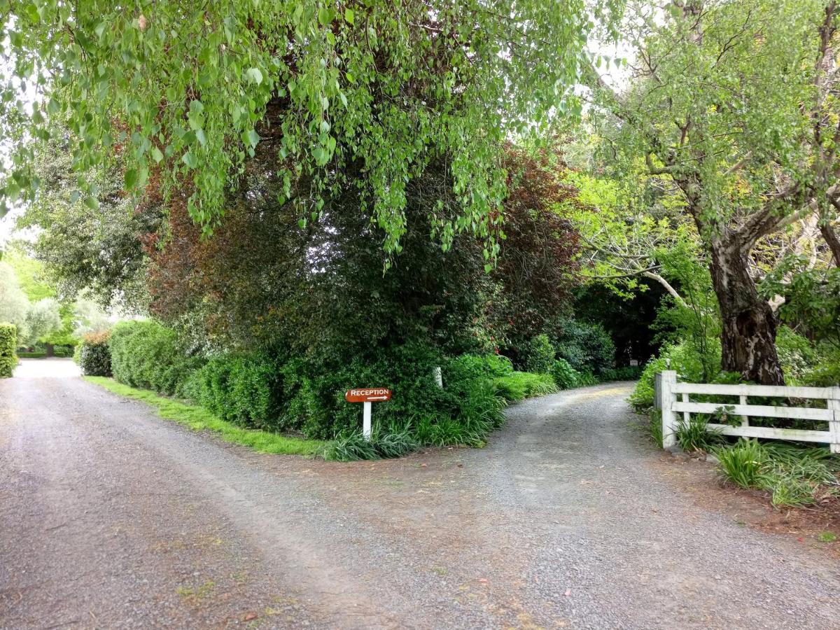 Bed and Breakfast Irongate Retreat Hastings Exterior foto